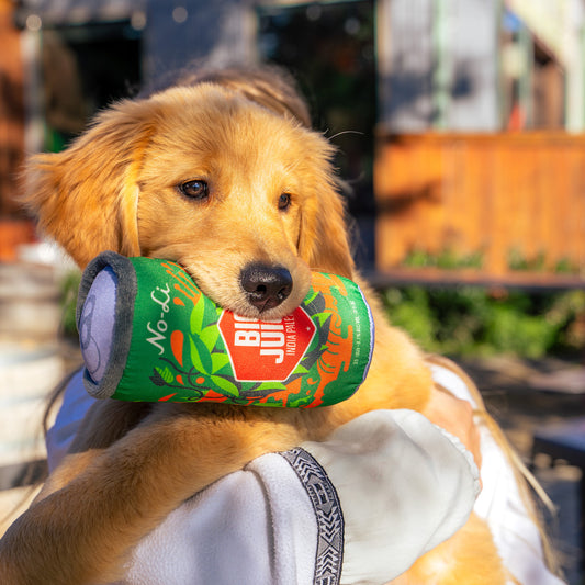 No-Li Big Juicy Dog Toy